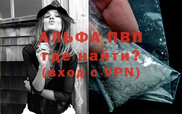 индика Вязники