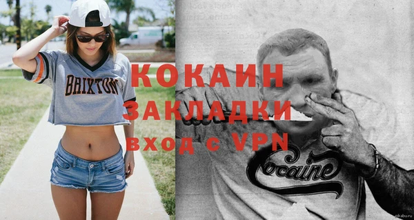 индика Вязники