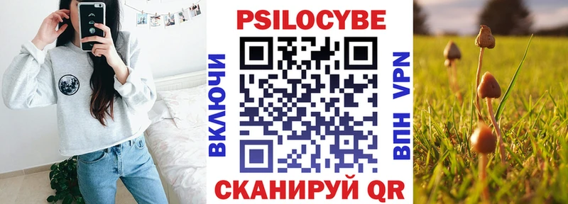 Галлюциногенные грибы GOLDEN TEACHER  купить закладку  Зеленоградск 